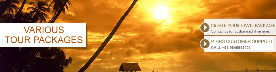 tour packages